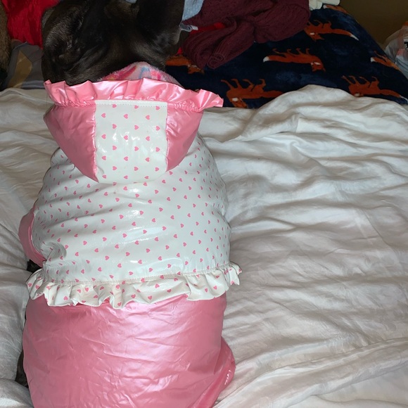 Dog/pet rain coat size Medium reversible - Picture 2 of 8